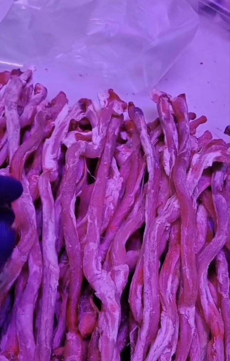羊鞭羊枪羊鞭一斤5-10个都有干货无水质量好价格低