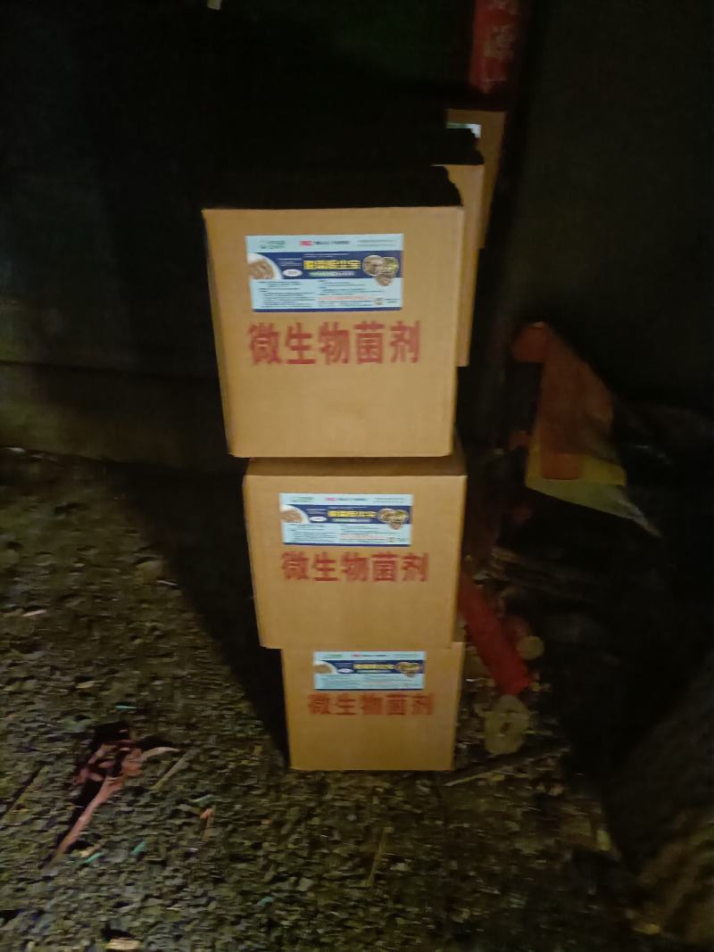 新产品中草药加益生菌发酵脱霉除尘宝厂家直销欢迎咨询