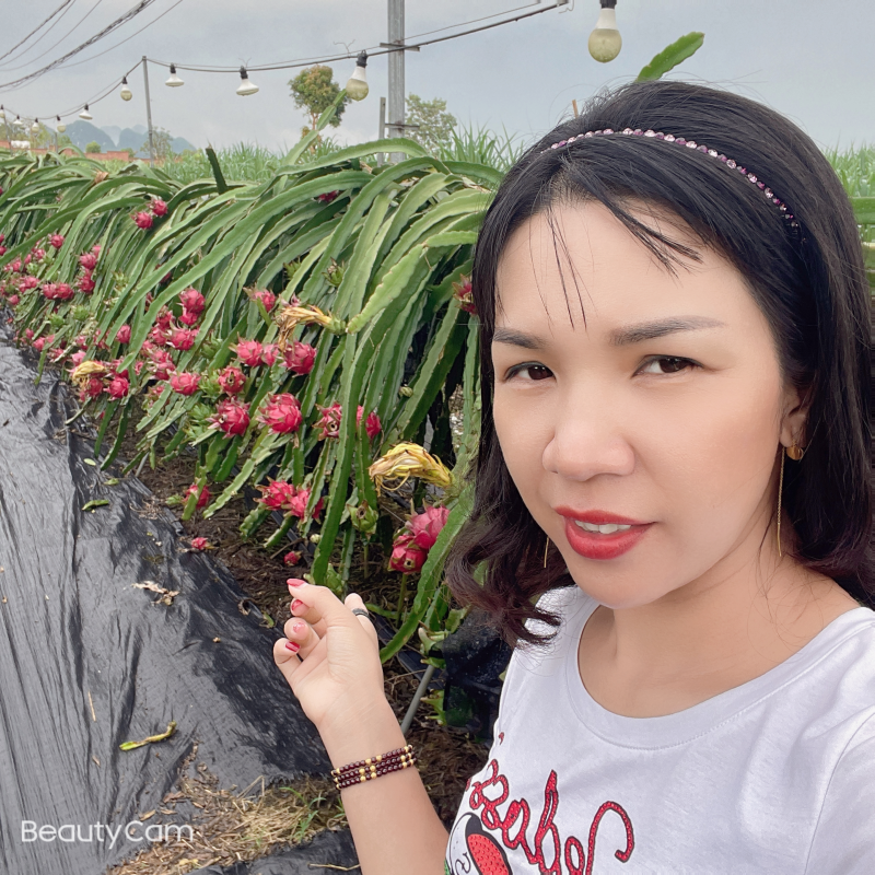 货源充足价格美丽