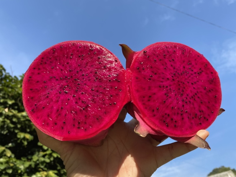 货源充足价格美丽