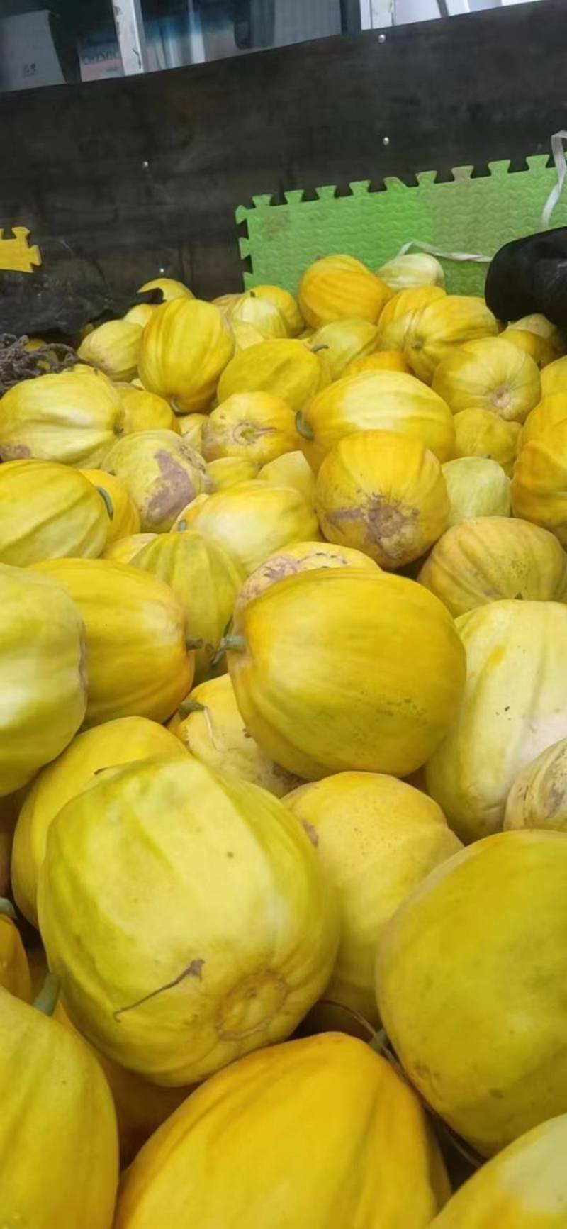 湖北宜昌丑八怪甜瓜大量上市中，口感甜，入口化渣！价格优惠