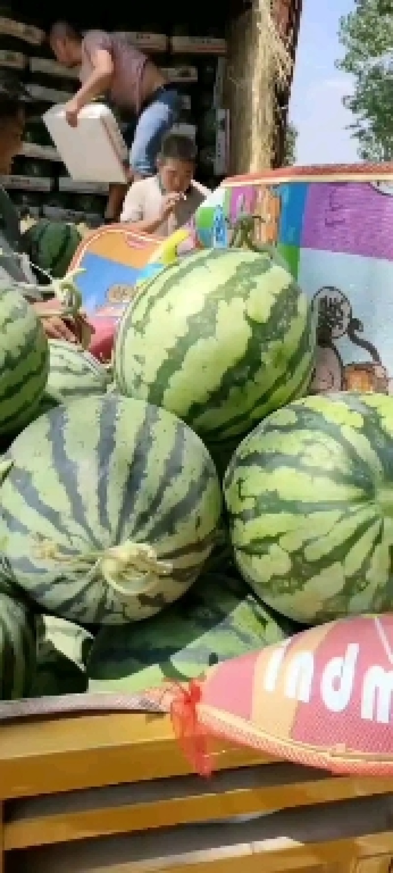 正品保障西瓜随时可聊