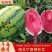 【精选】宁夏硒砂瓜甜度高水分足品质保证代发全国荐