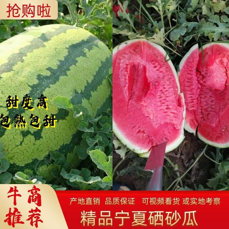 【精选】宁夏硒砂瓜甜度高水分足品质保证代发全国荐