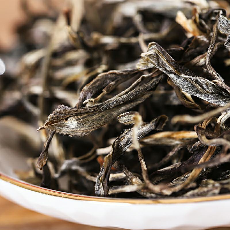 云南普洱茶古树纯料生茶散茶2021头春茶散装生普口粮茶5
