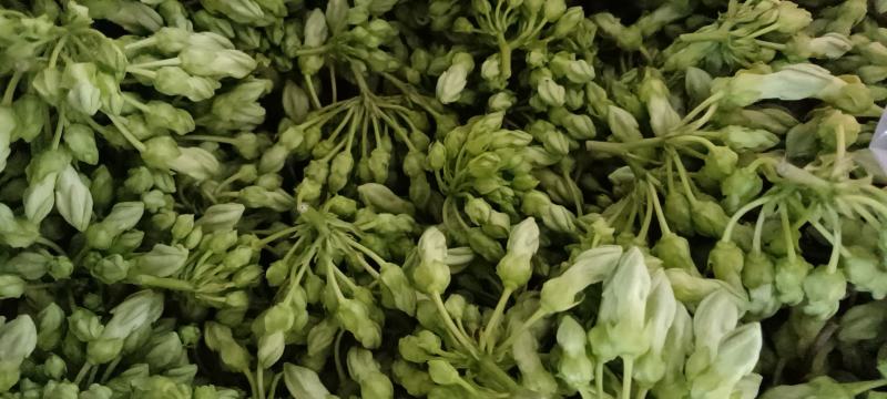 夜香花千里香，大糯花！品种香糯蔬菜