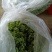 夜香花千里香，大糯花！品种香糯蔬菜
