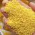 沂蒙山2021年新米，黄小米当季黄米批发一件代发电商