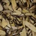 十大功劳三棵针茎杆2.2一斤