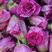 玫瑰花茶，低温无硫烘焙，玫瑰花冠茶，干花，重瓣红玫瑰花茶