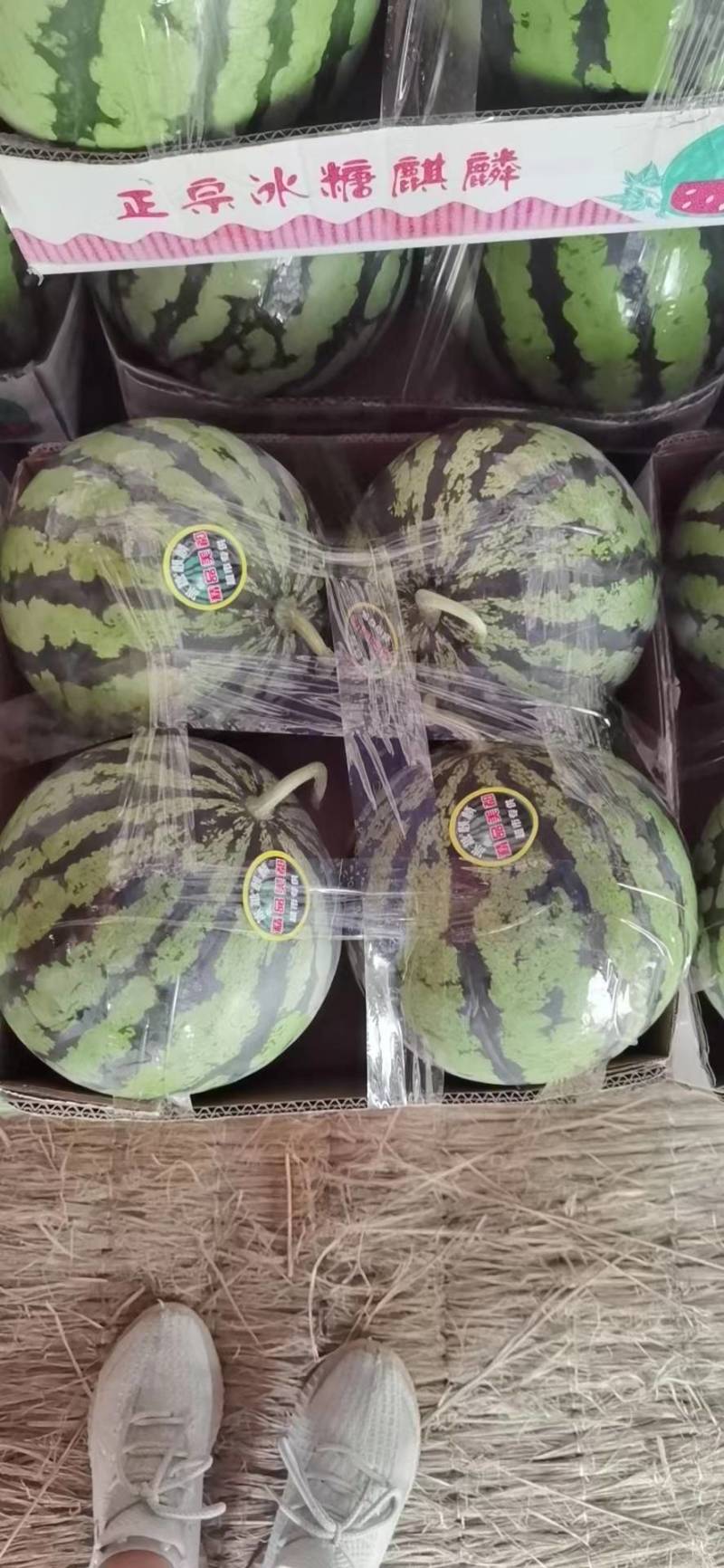 正品保障西瓜随时可聊