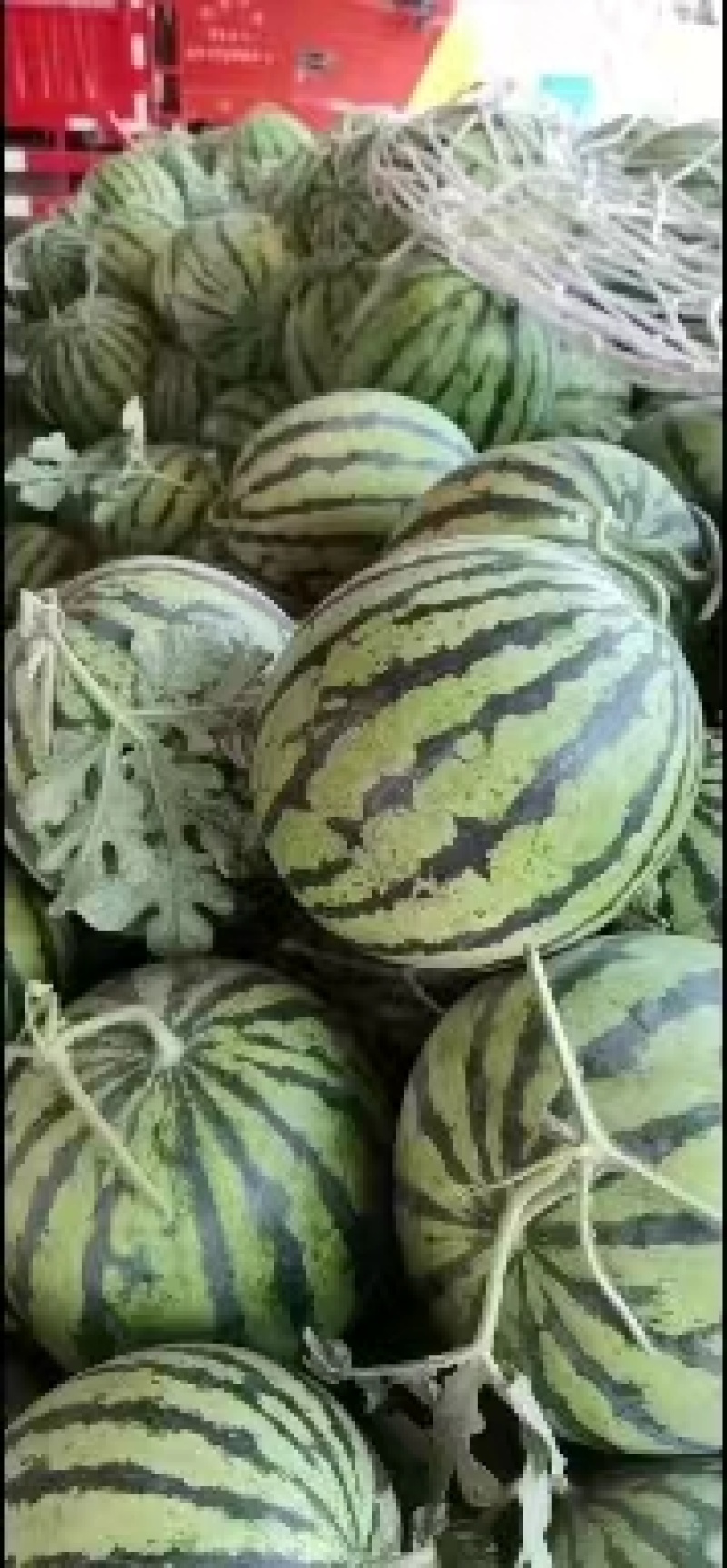 正品保障西瓜随时可聊