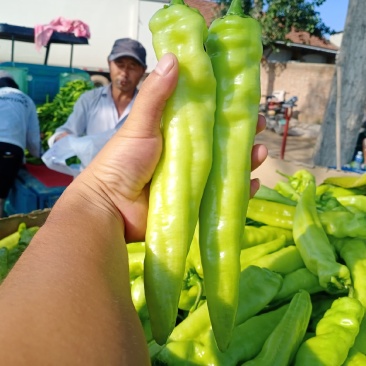 【牛商推荐】精品辣椒，黄皮椒万亩产地直销中，品质保证