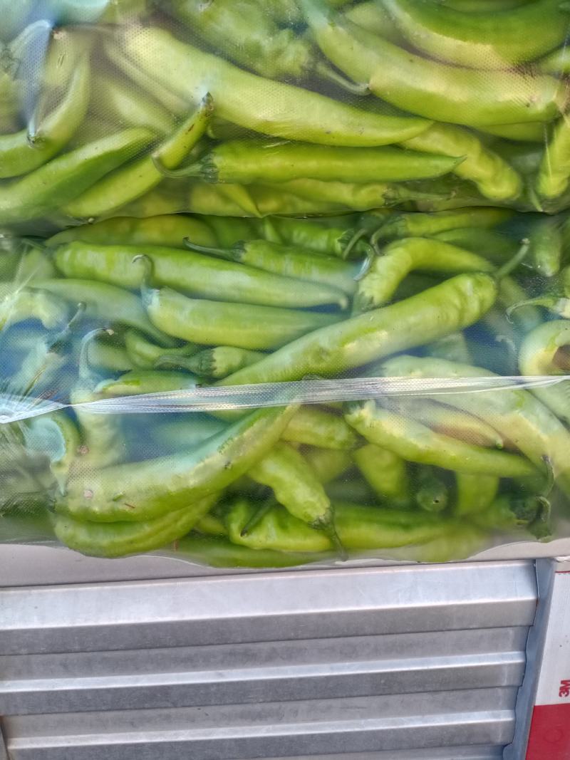 【牛商推荐】精品辣椒，黄皮椒万亩产地直销中，品质保证