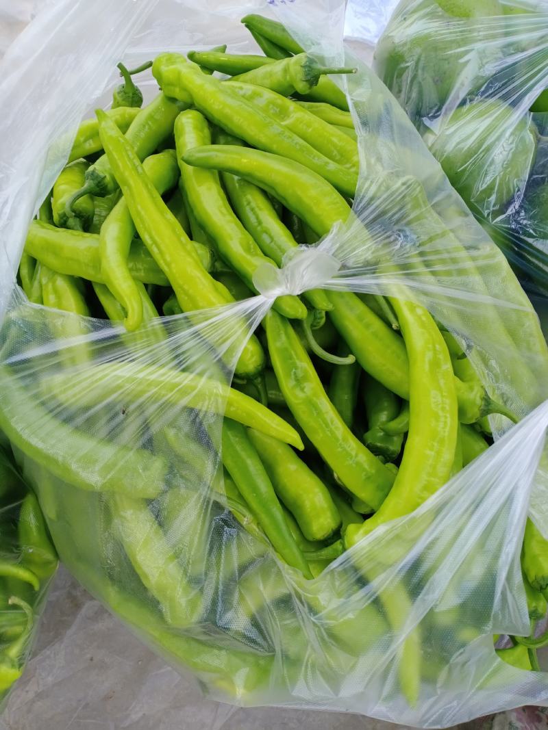 【牛商推荐】精品辣椒，黄皮椒万亩产地直销中，品质保证