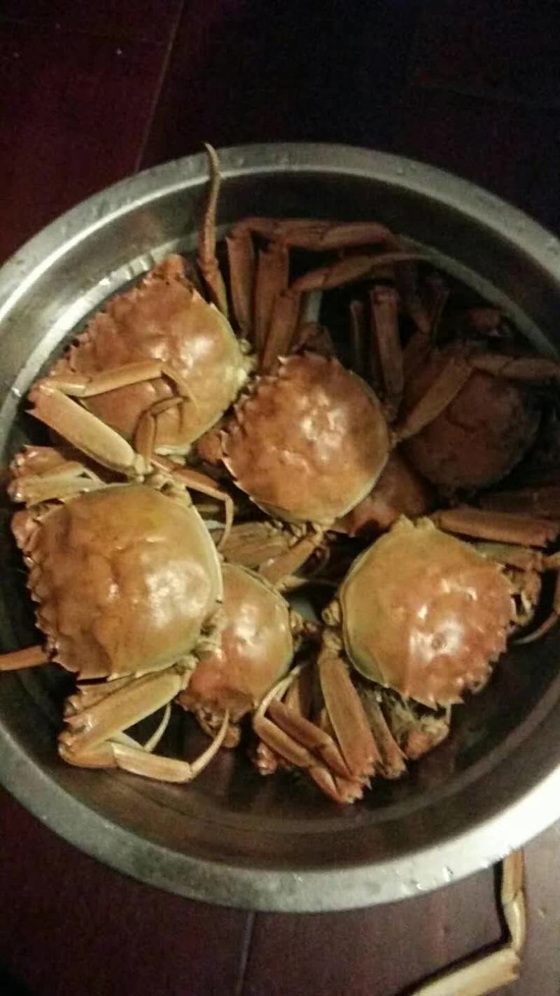 【推荐】盘锦六月黄，营养丰富，产地直供量大从优