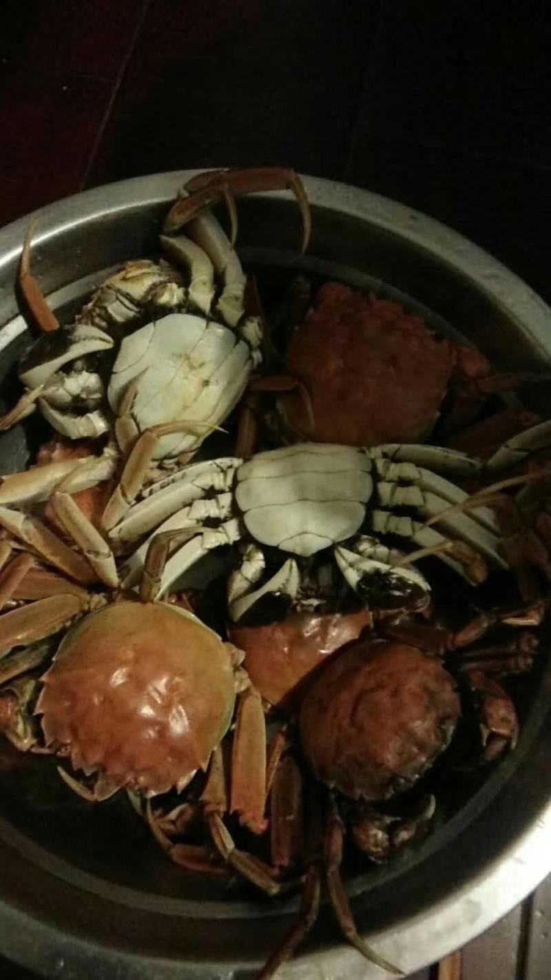 【推荐】盘锦六月黄，营养丰富，产地直供量大从优
