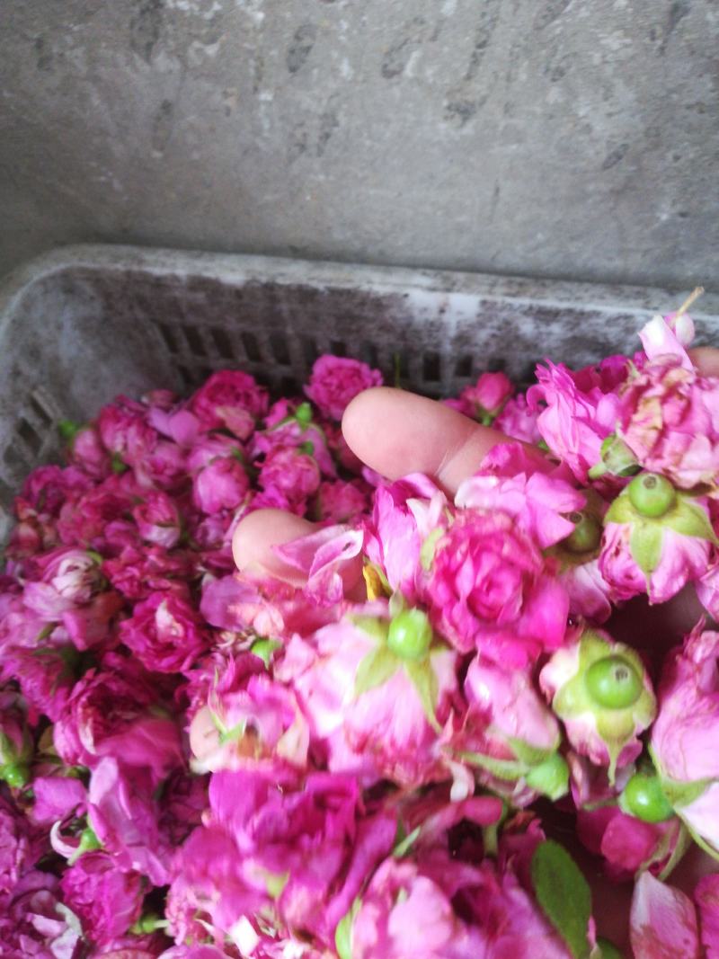 平阴玫瑰鲜花冠