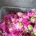 平阴玫瑰鲜花冠