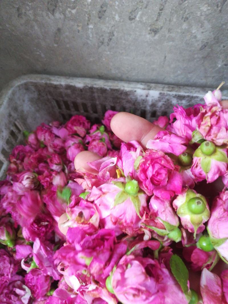 平阴玫瑰鲜花冠