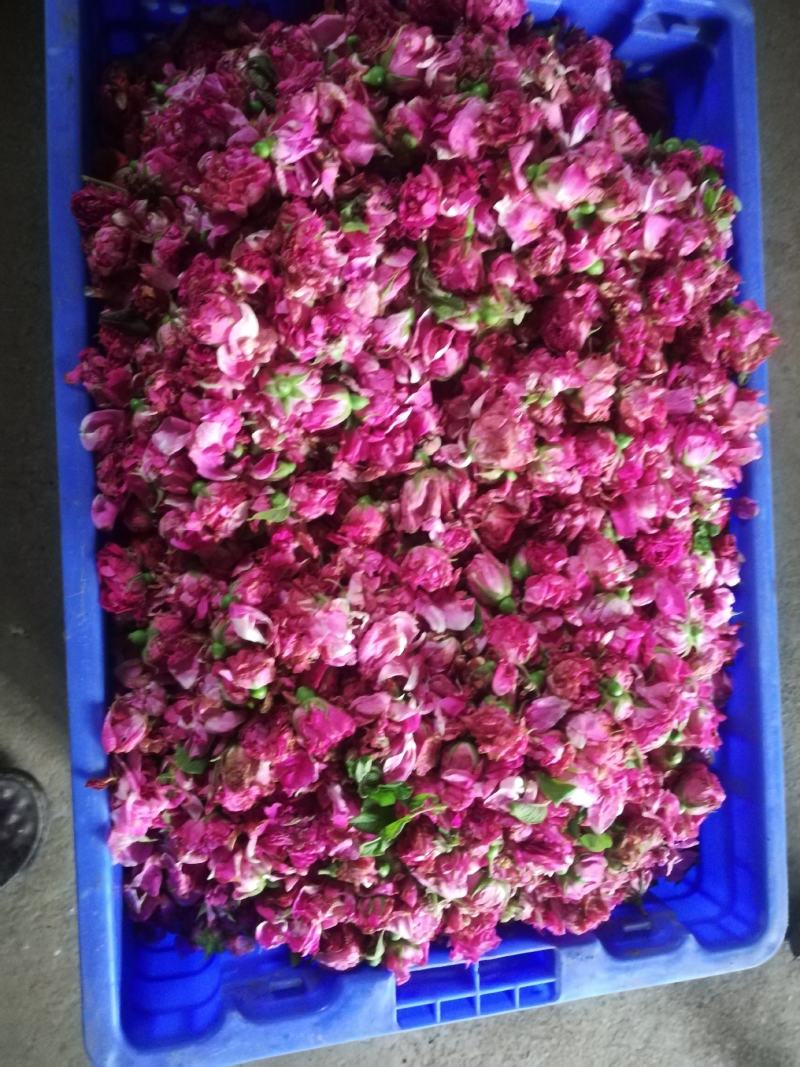 平阴玫瑰鲜花冠