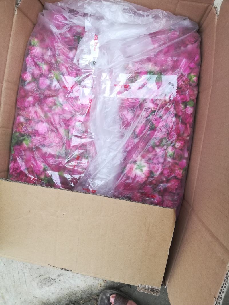 平阴玫瑰鲜花冠