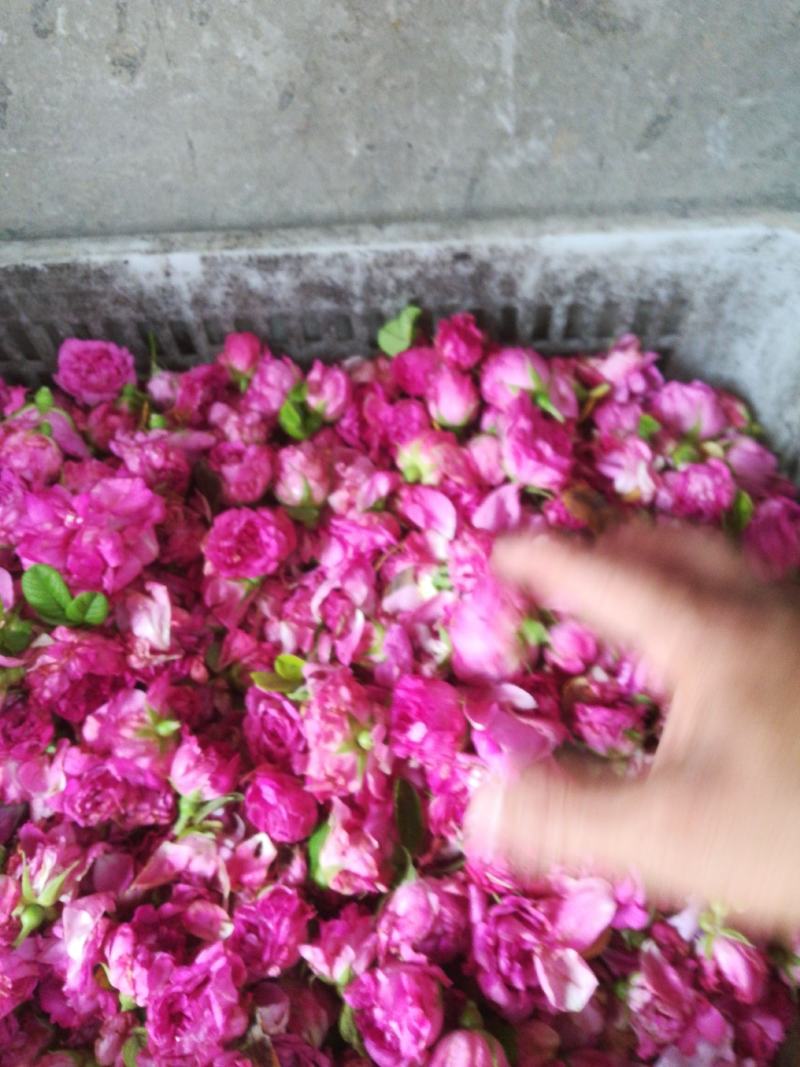 平阴玫瑰鲜花冠