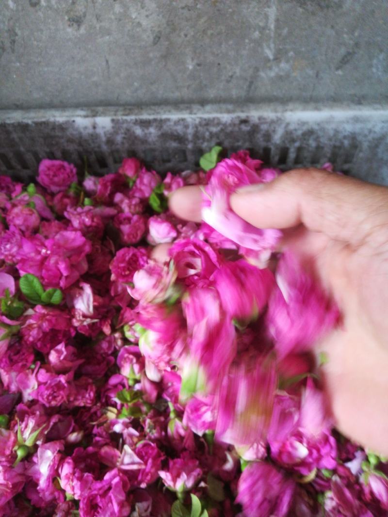 平阴玫瑰鲜花冠