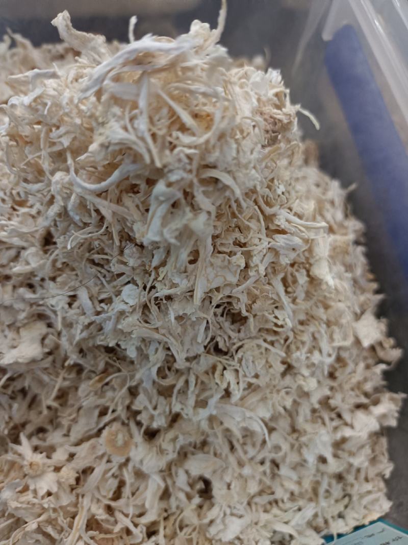橘络新货橘络干净无杂***大货零售批发假一赔十