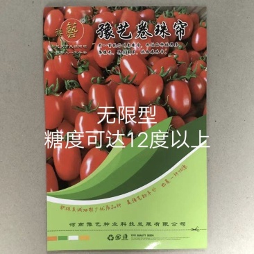 豫艺卷珠帘小番茄种子