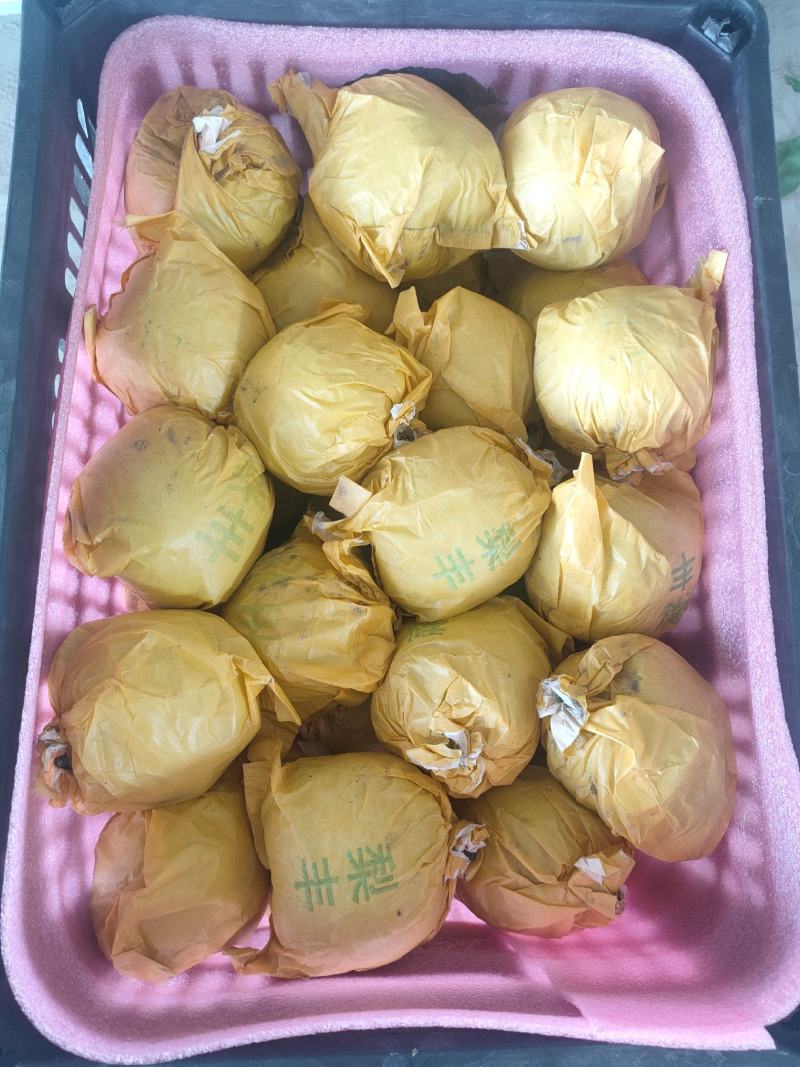 梨翠冠梨翠玉梨苏翠一号518梨口感酥脆甘甜汁多