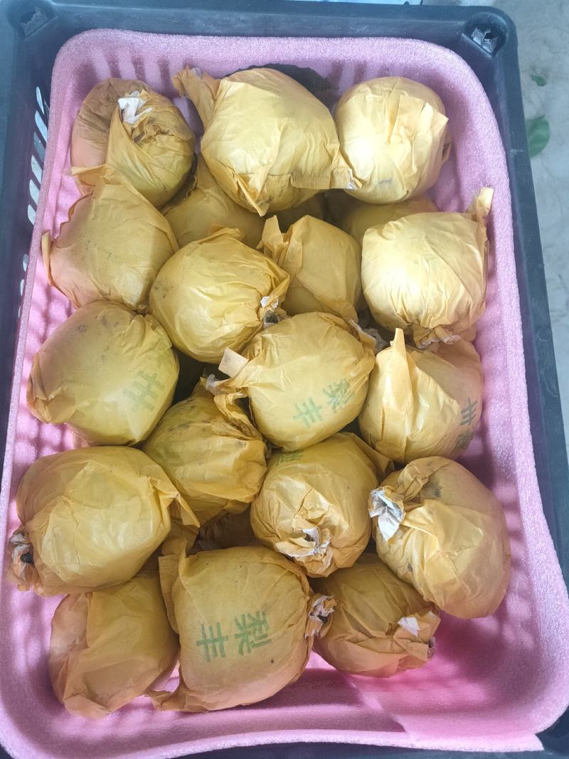 梨翠冠梨翠玉梨苏翠一号518梨口感酥脆甘甜汁多