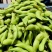 精品毛豆现摘现发全国发货基地直供优质毛豆