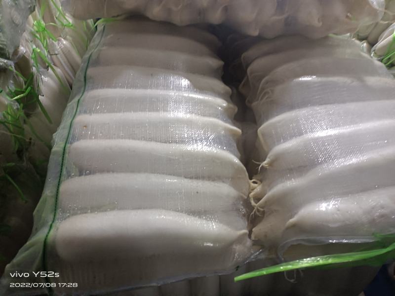精品四排包，三排包，白萝卜，散装打冷白萝卜
