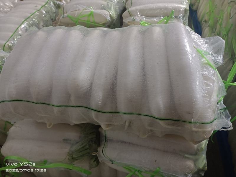 精品四排包，三排包，白萝卜，散装打冷白萝卜