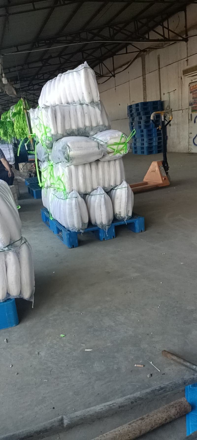 精品四排包，三排包，白萝卜，散装打冷白萝卜