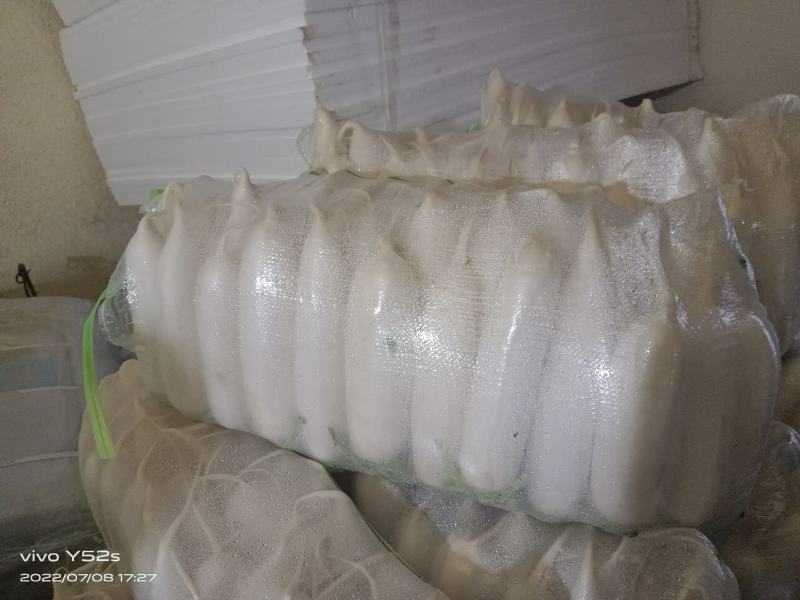精品四排包，三排包，白萝卜，散装打冷白萝卜