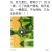 农大柔红白菜种子早熟口感好高抗病经济效益高大包头