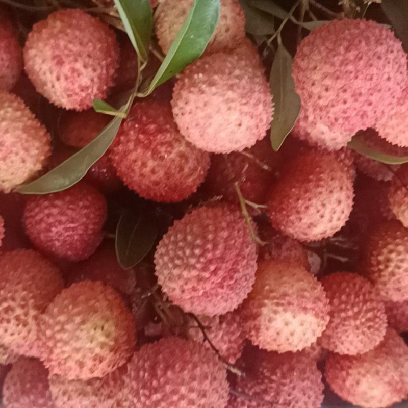 桂味，风花