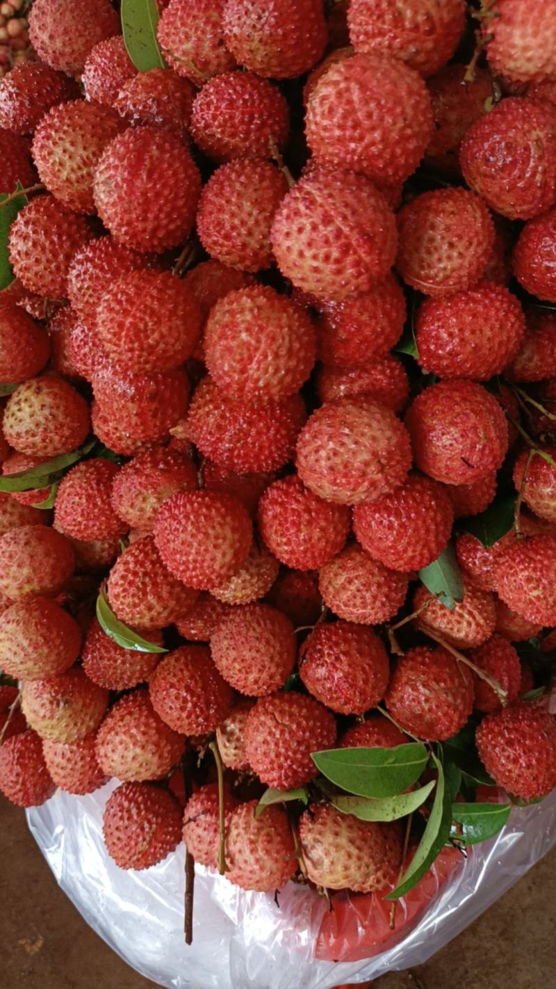 桂味，风花