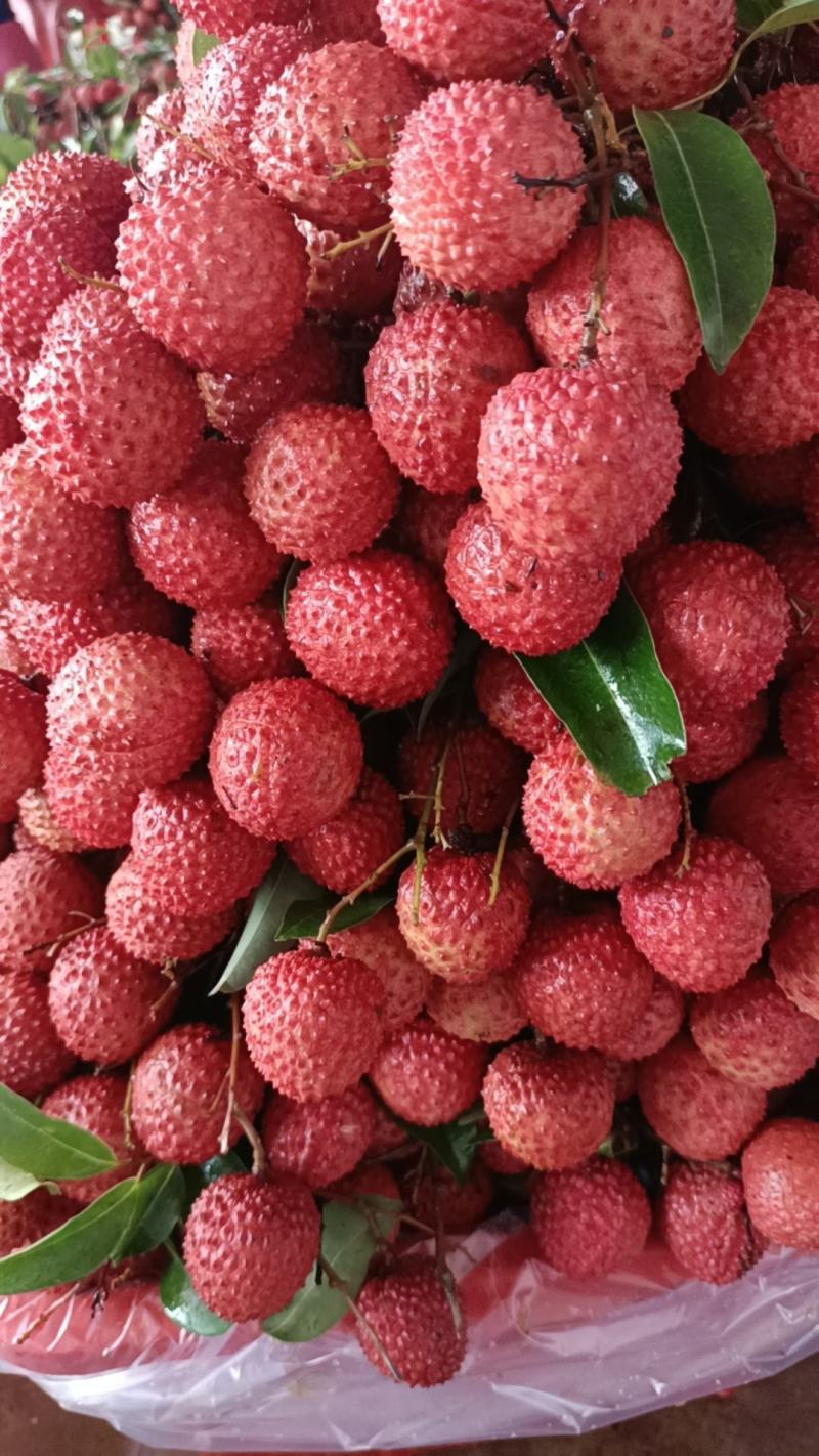 桂味，风花