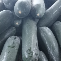 吊冬瓜