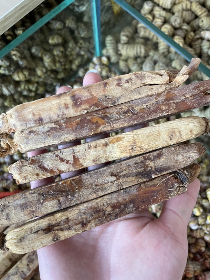 东北高丽参