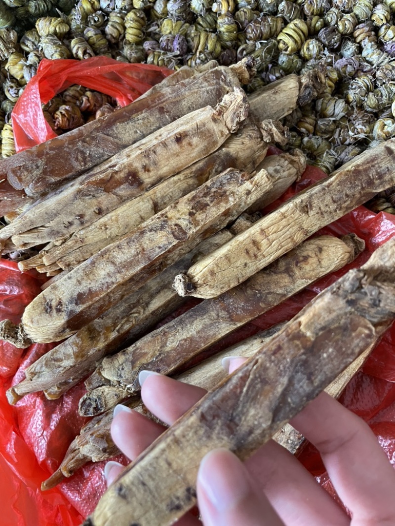 东北高丽参