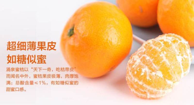 湖北富橘农业有大量特早无核蜜桔，普早桔子果园看货定价