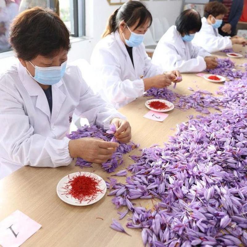 藏红花正宗国产藏红花圆丝***无定型量大优惠