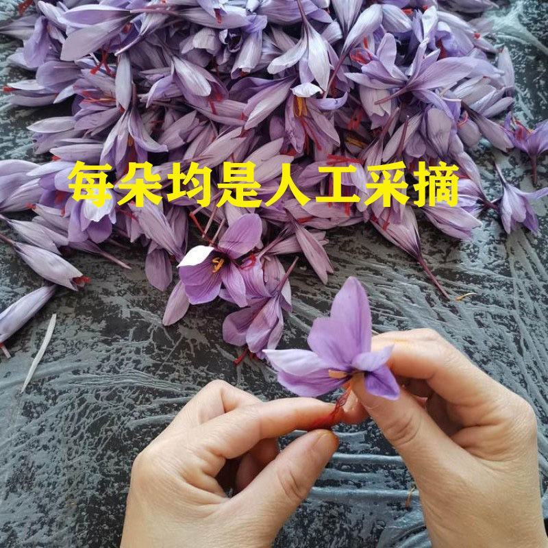 藏红花正宗国产藏红花圆丝***无定型量大优惠