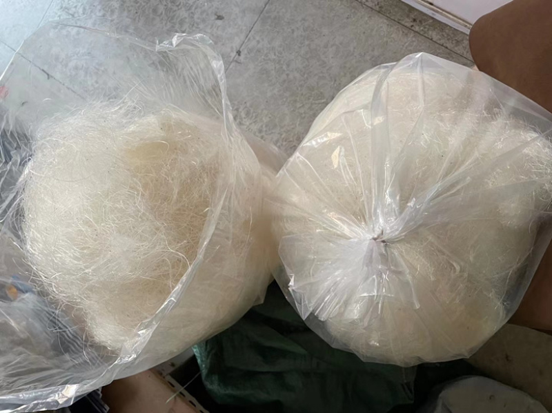 缅甸特级龙须雪燕