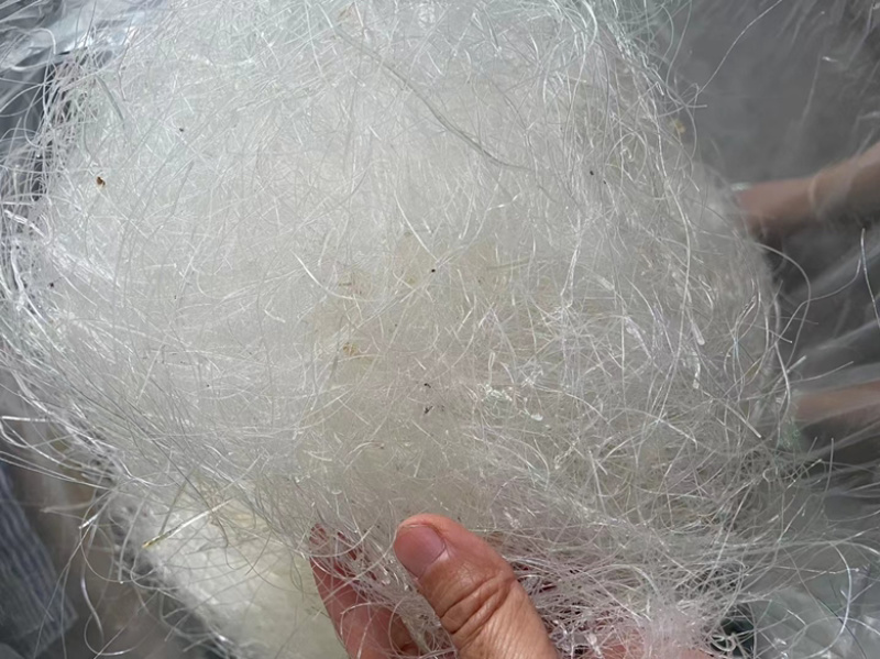 缅甸特级龙须雪燕