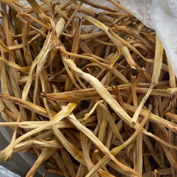 黄花菜天然产品
